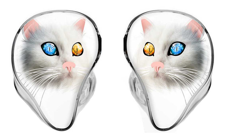 SWITCH Cat